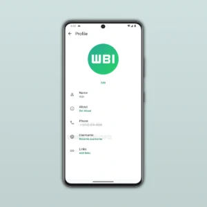 whatsapp feature